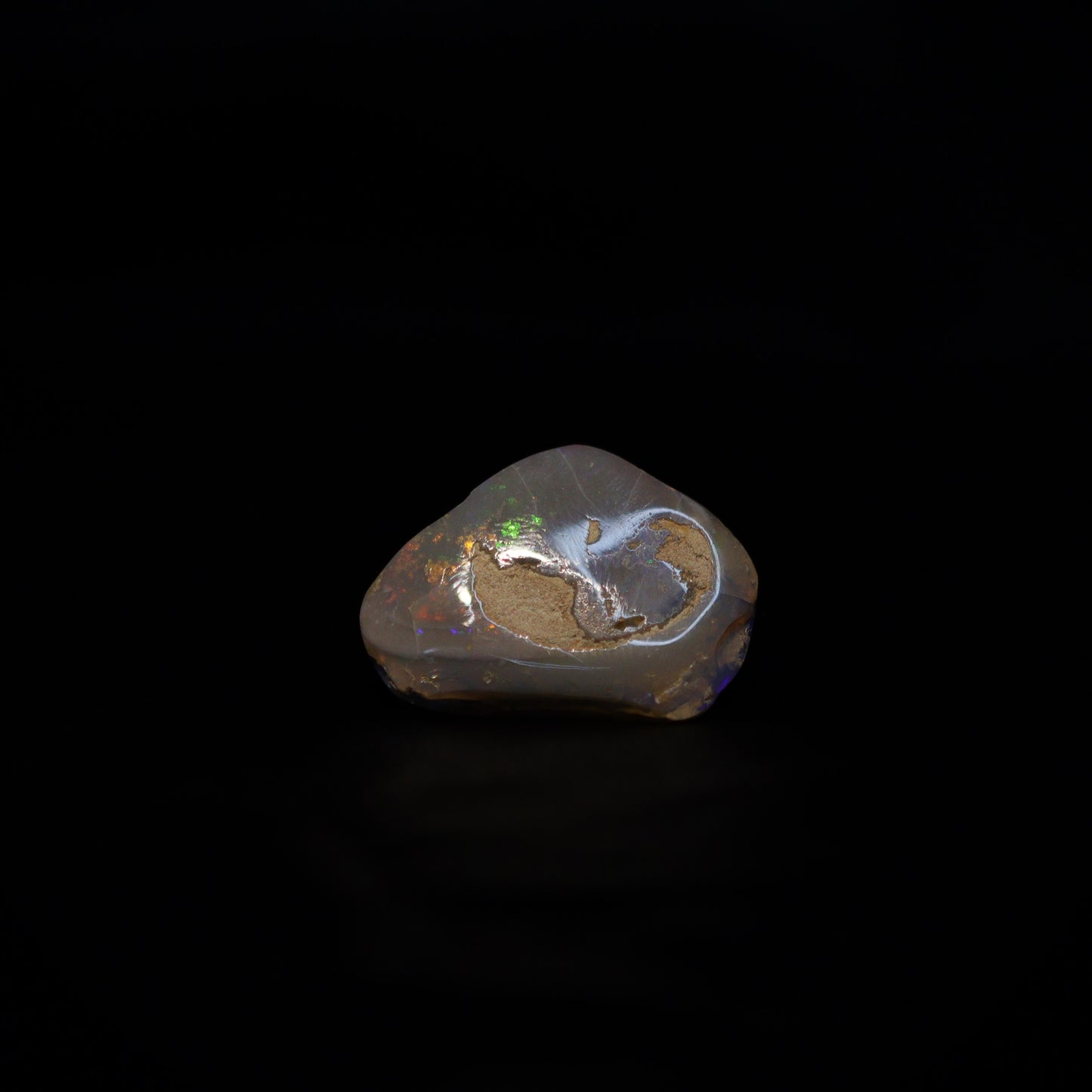 Australian Fossilized opal shell