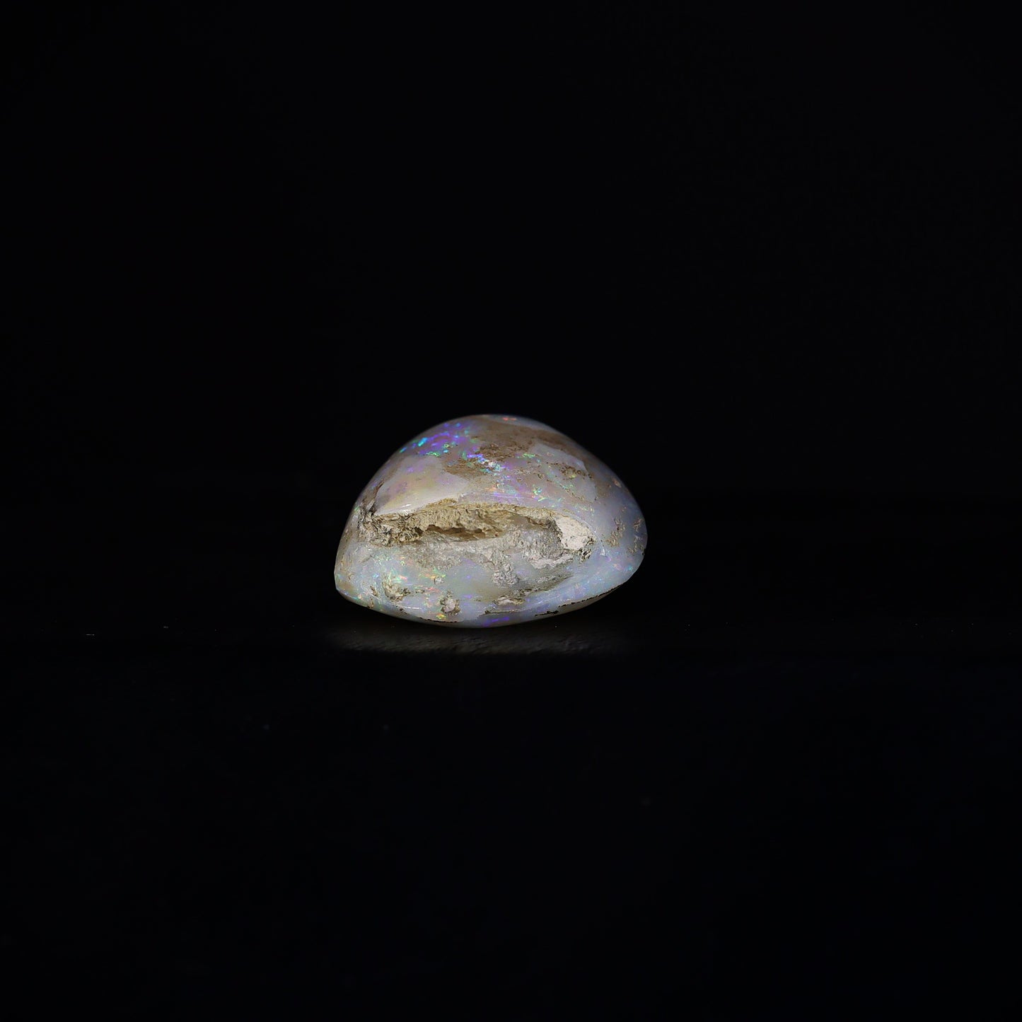 Australian Fossilized opal shell