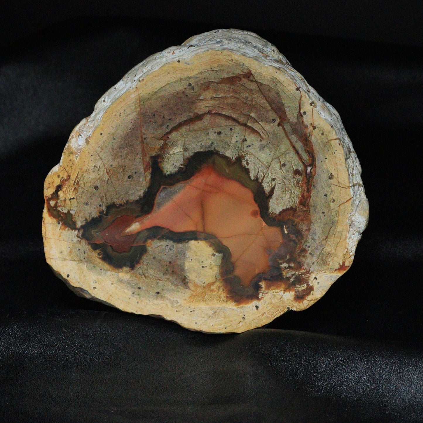 Australian Thuneregg