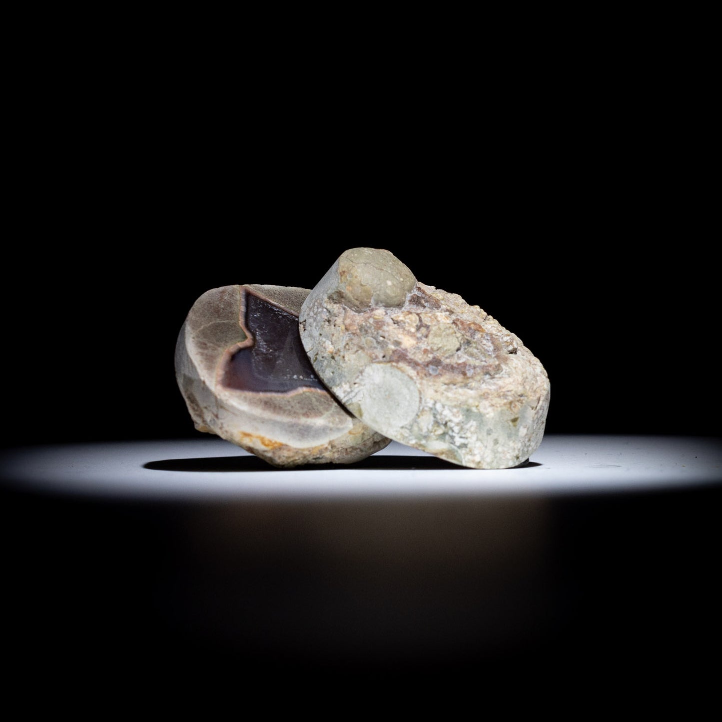 Australian Thunderegg Pair – Natural Mineral Specimen