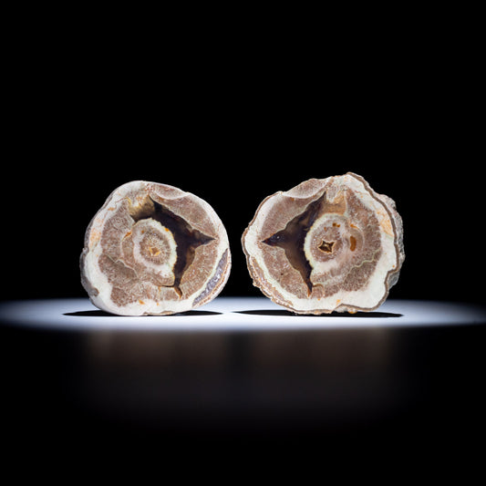 Australian Thunderegg Pair