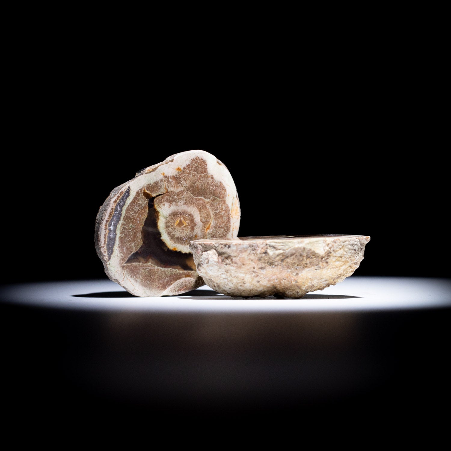 Australian Thunderegg Pair