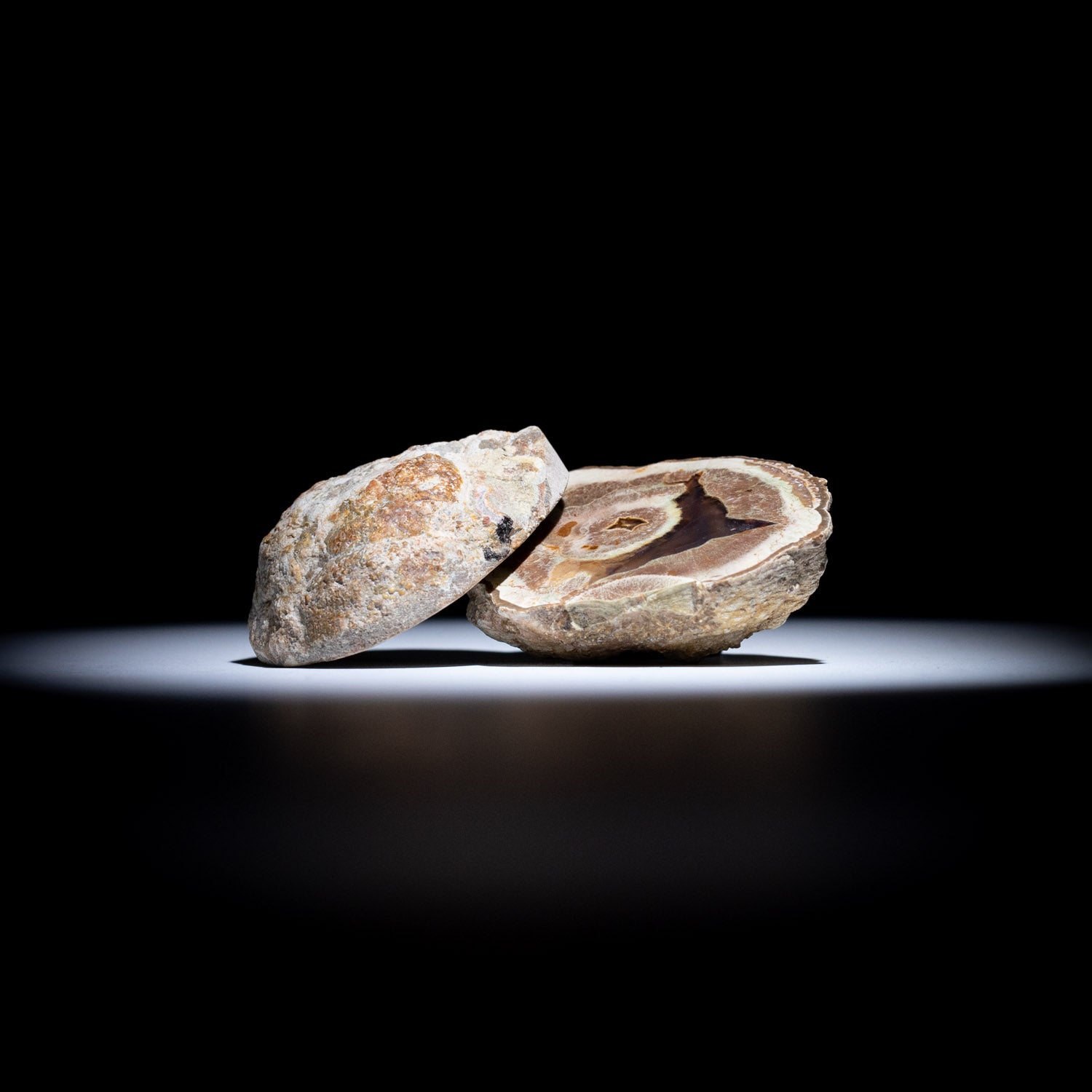 Australian Thunderegg Pair