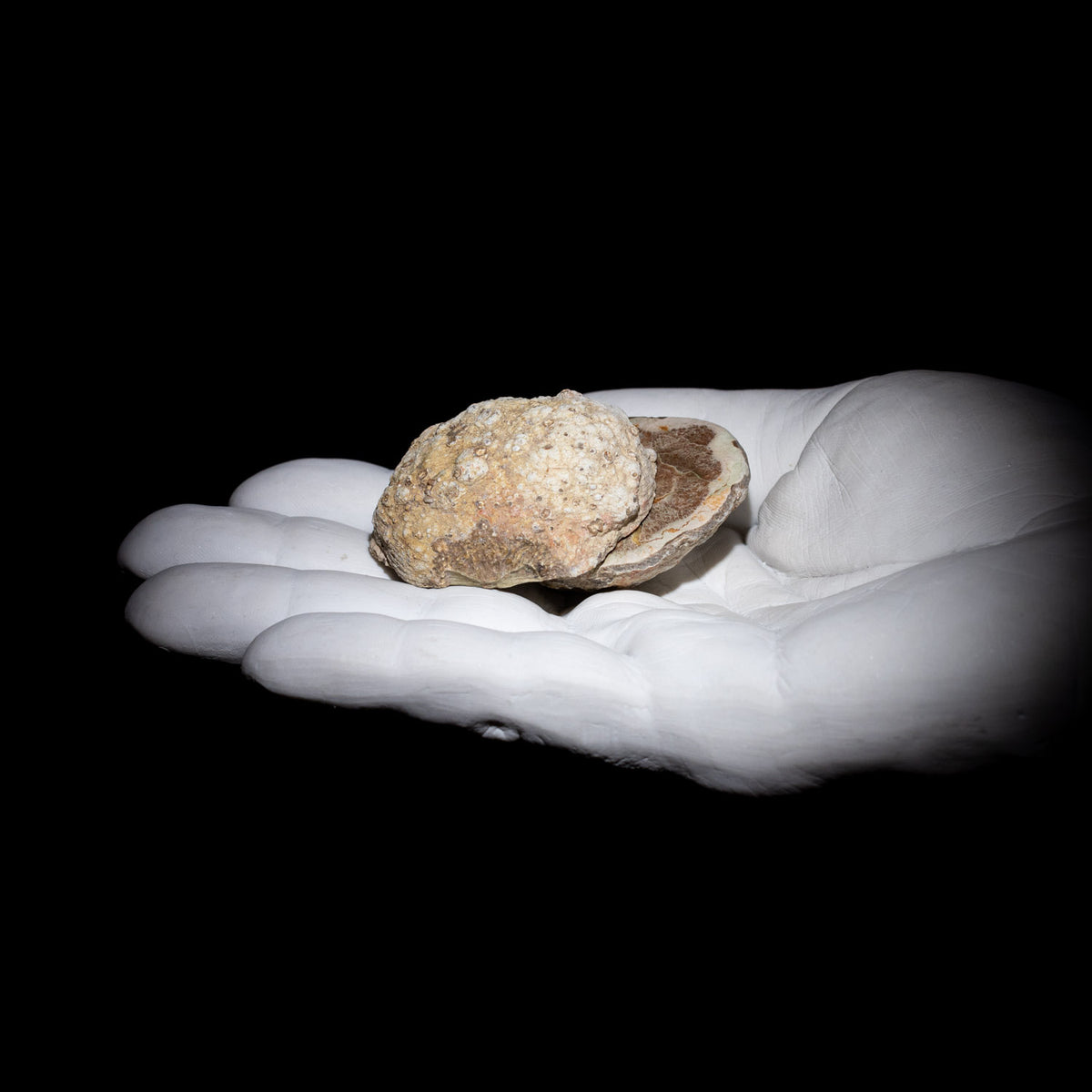 Qld Thunder Rocks Australian Thunderegg Pair – Queensland, 120 Million Year Volcanic ...