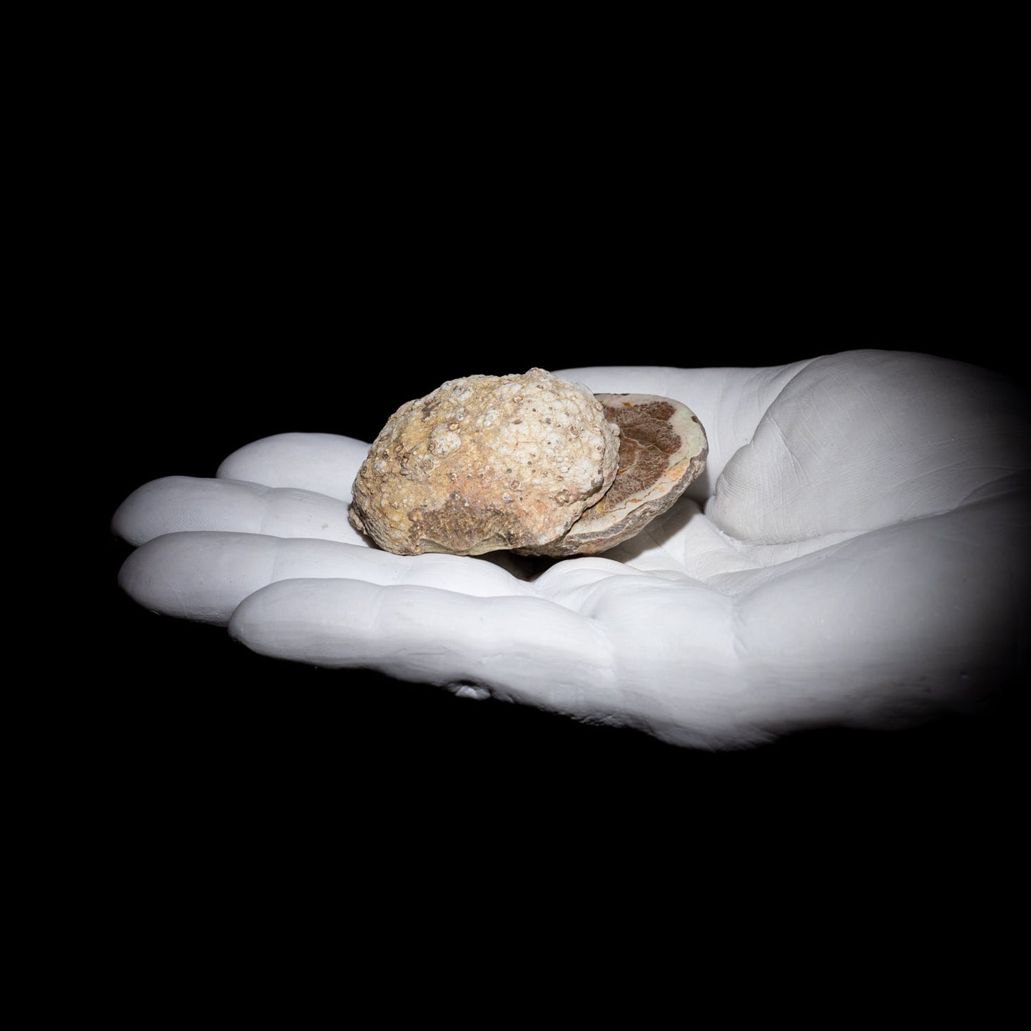 Australian Thunderegg Pair