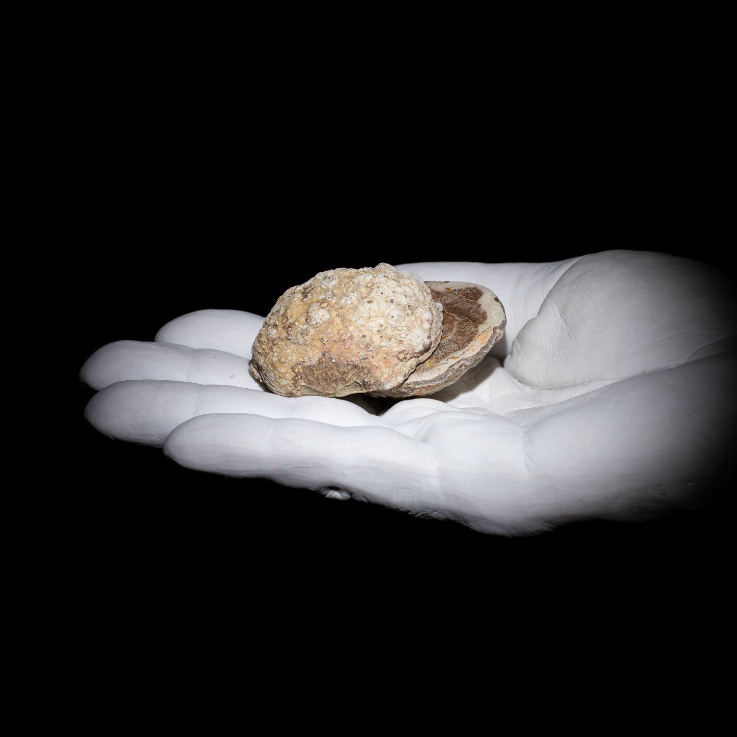 Australian Thunderegg Pair
