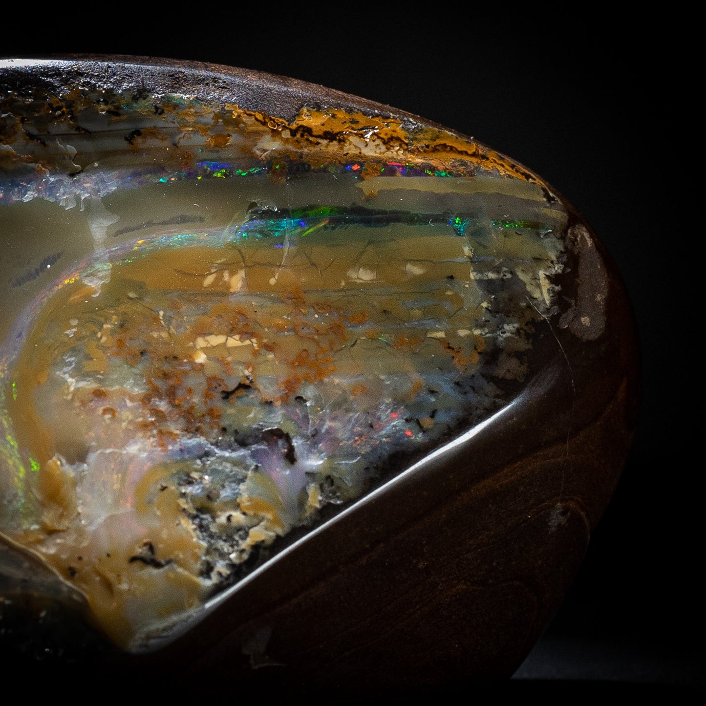 Australian Boulder Opal Specimen