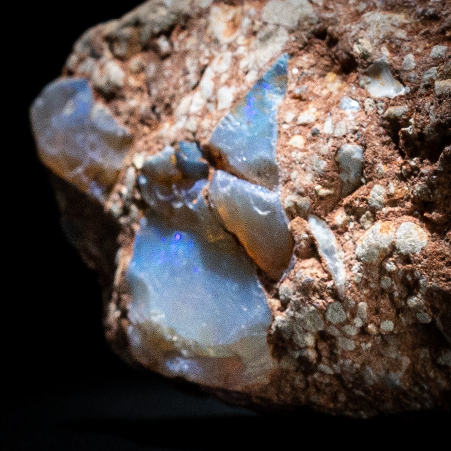 Australian Black Opal Specimen 