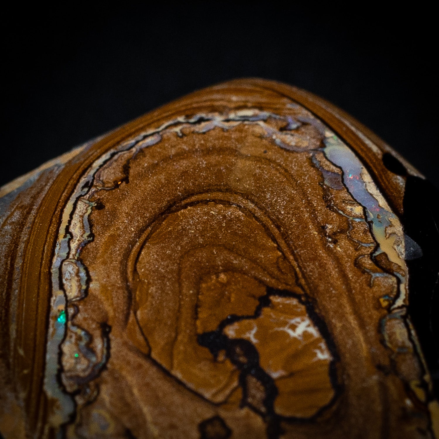 Australian Boulder Opal Specimen