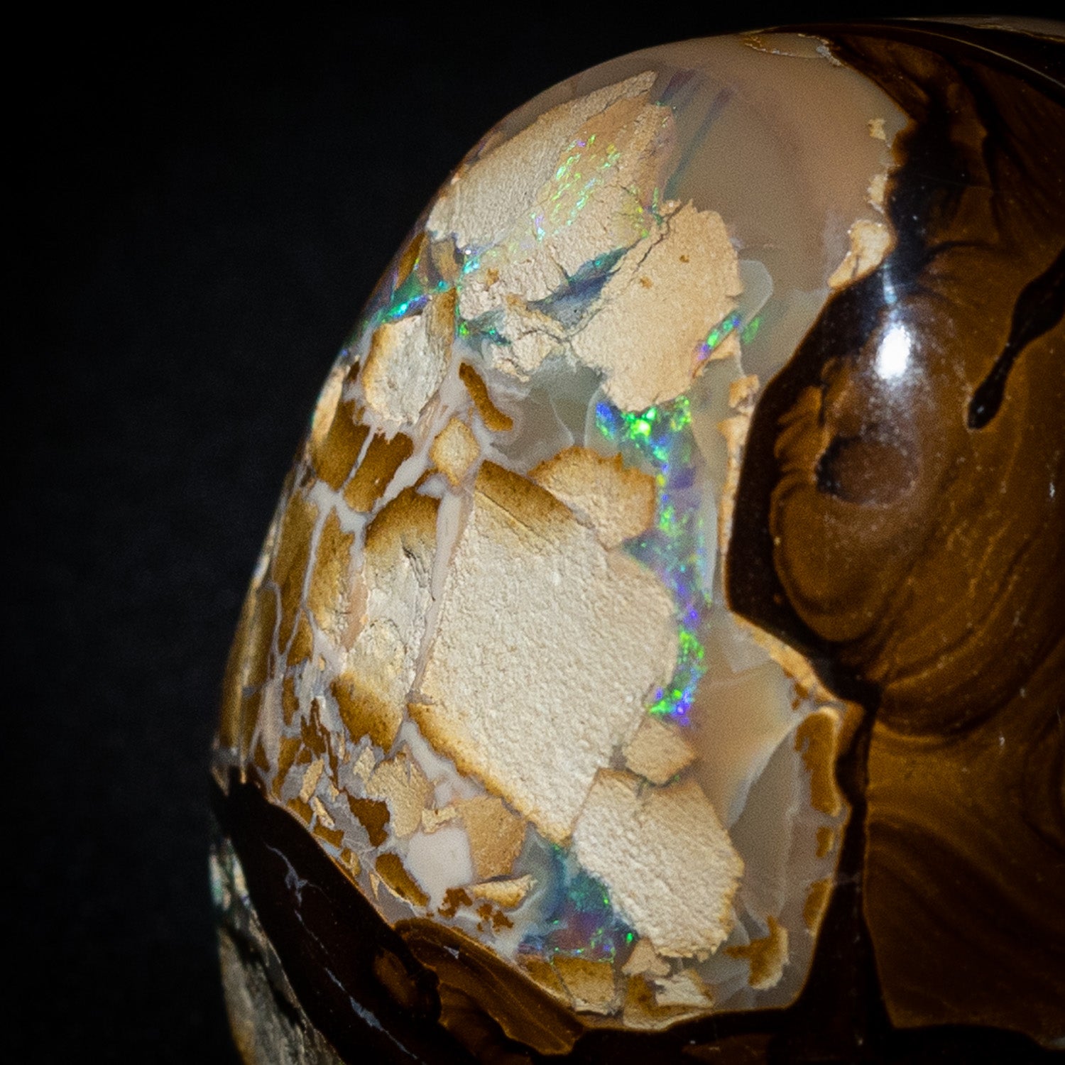 Australian Boulder Opal Specimen