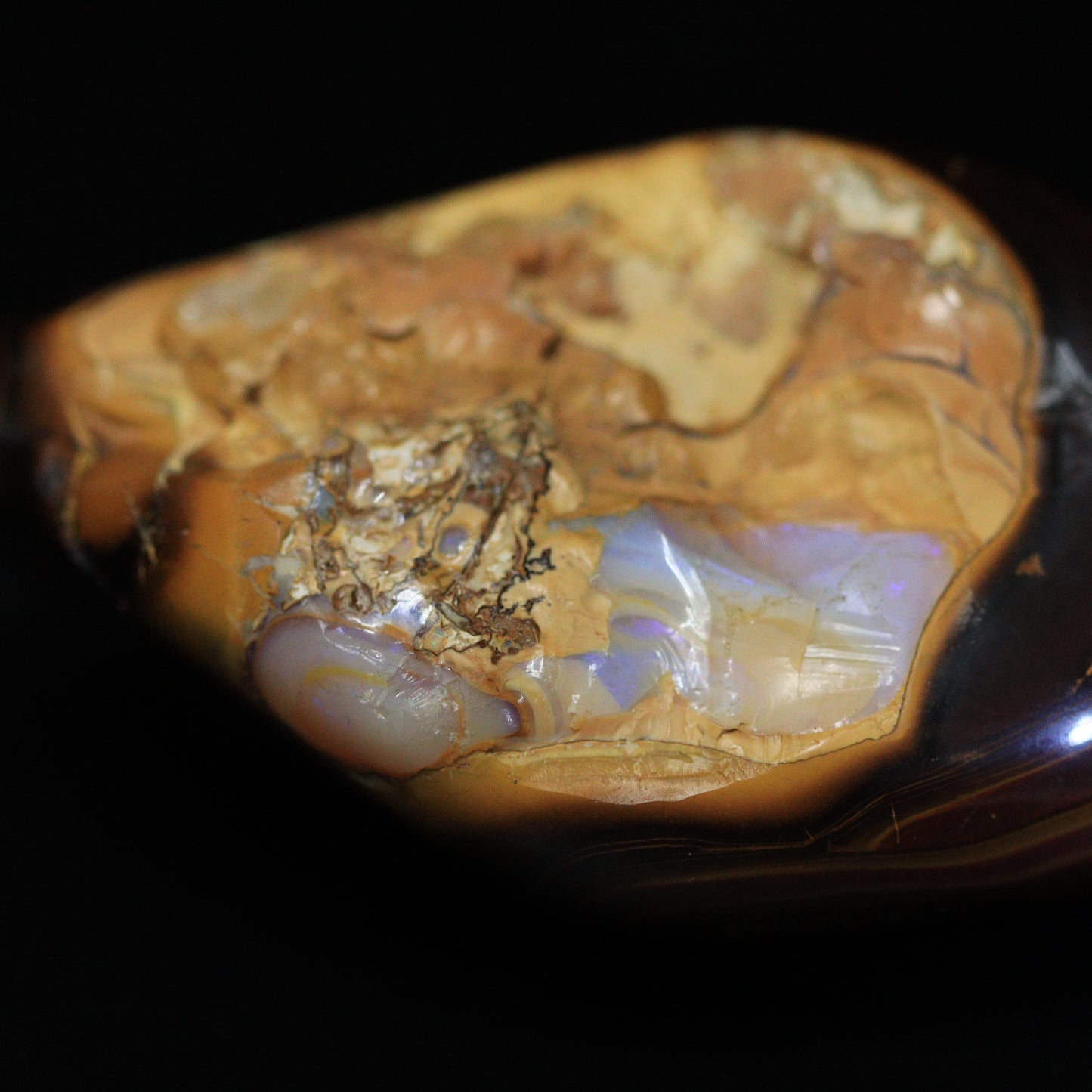 Australian Opal Specimens 