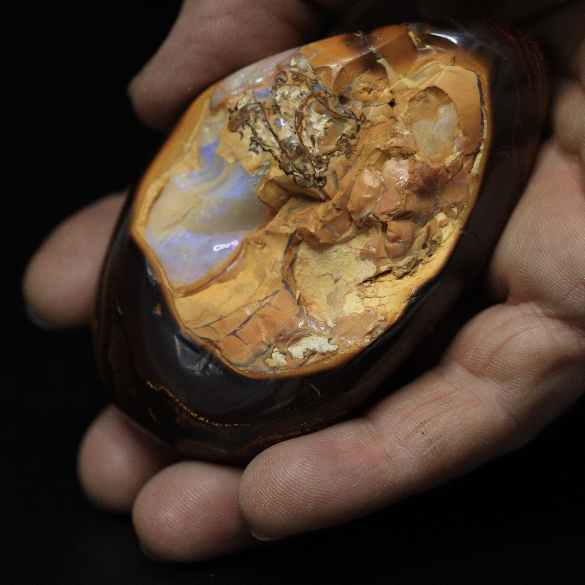 Australian Opal Specimens 