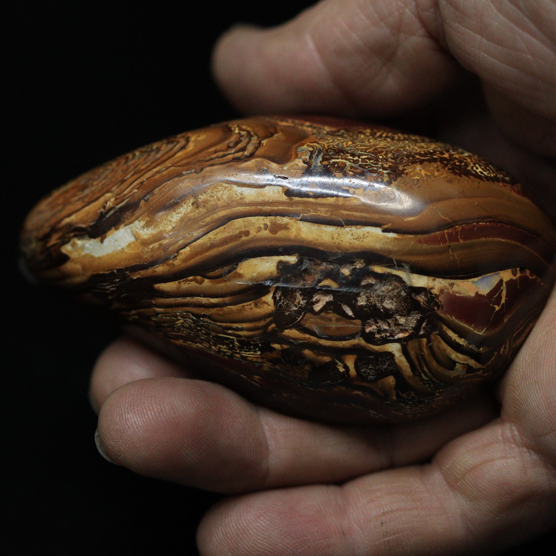 Australian opal specimens 