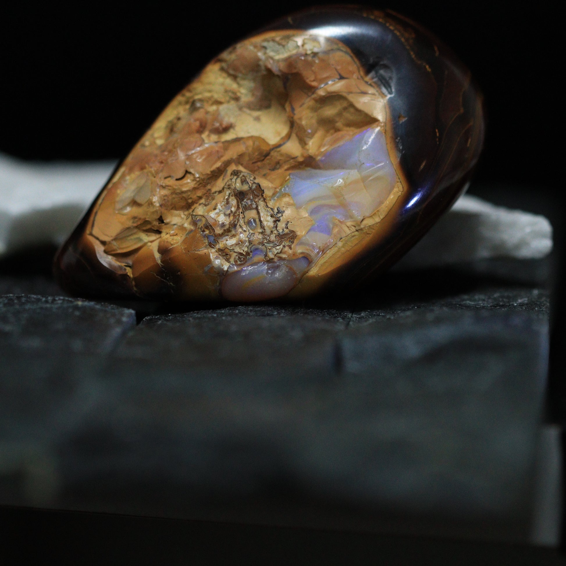 Australian Opal Specimens 