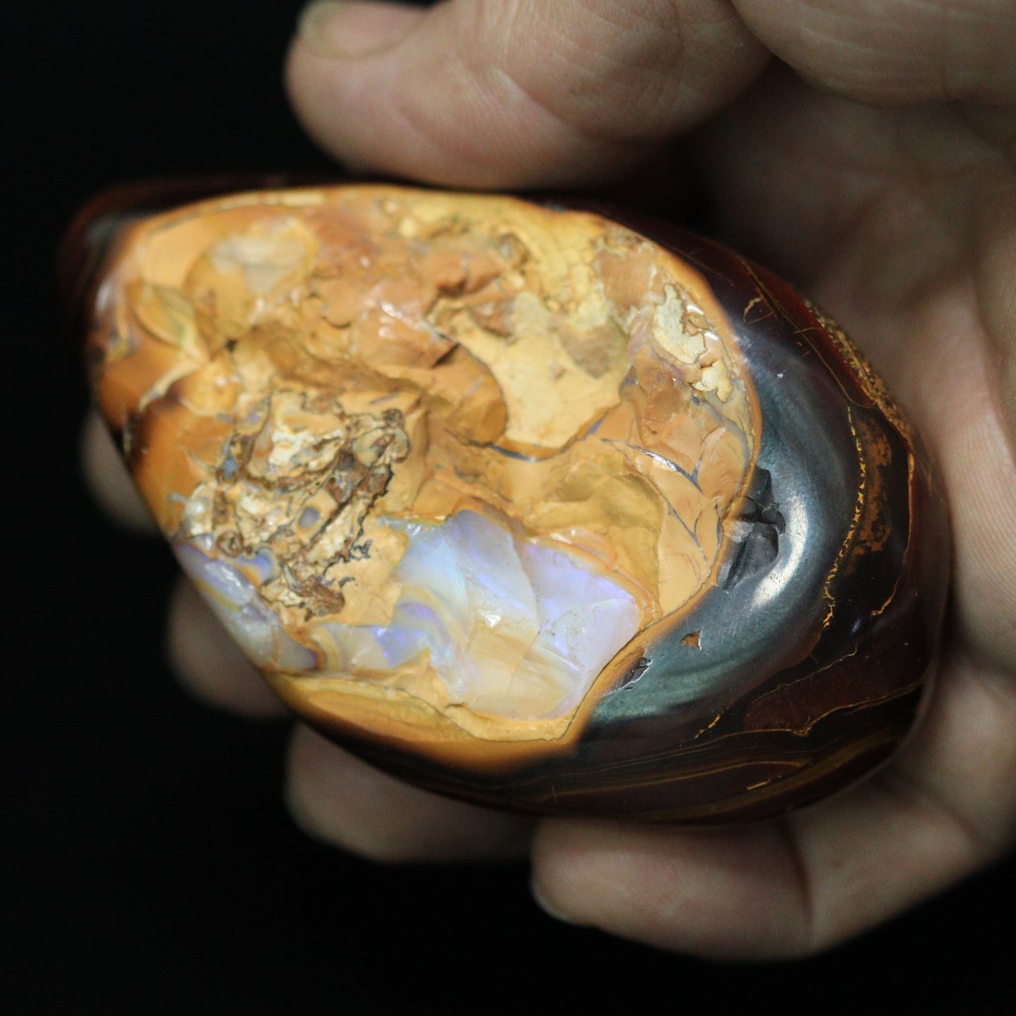Australian Opal Boulder Specimens 