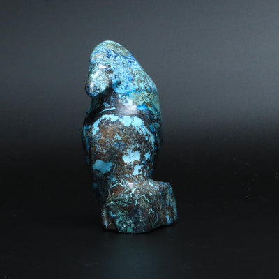 Shattuckite "Bird" - 6