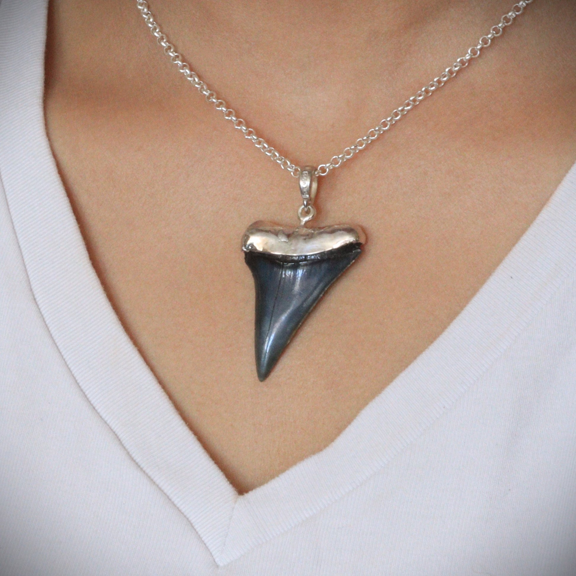 Megalodon Pendant - 10