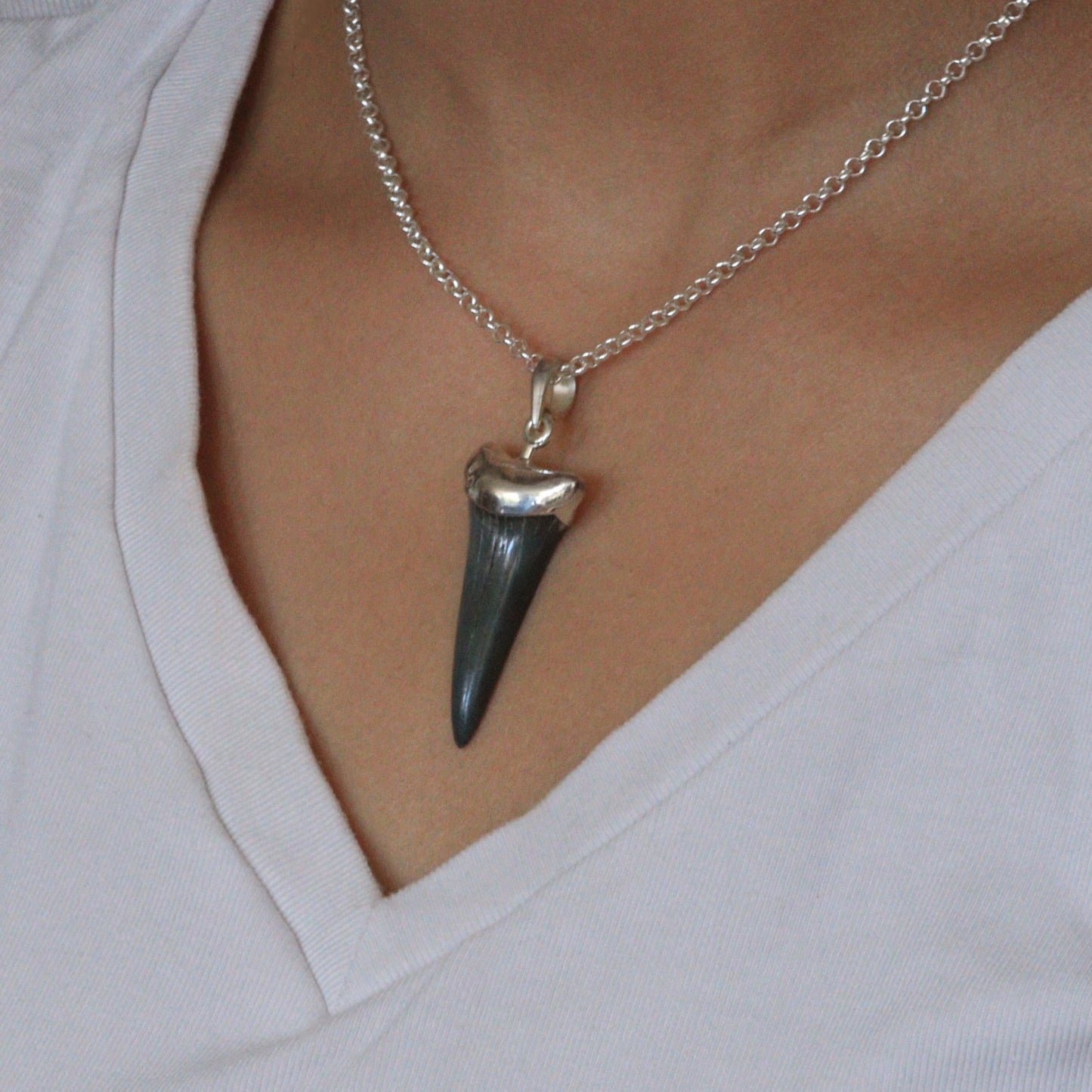 Magalodon fossil pendant - 11