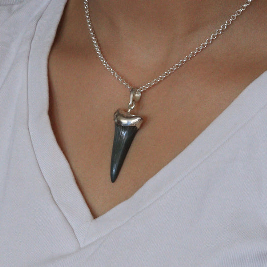 Magalodon fossil pendant - 11
