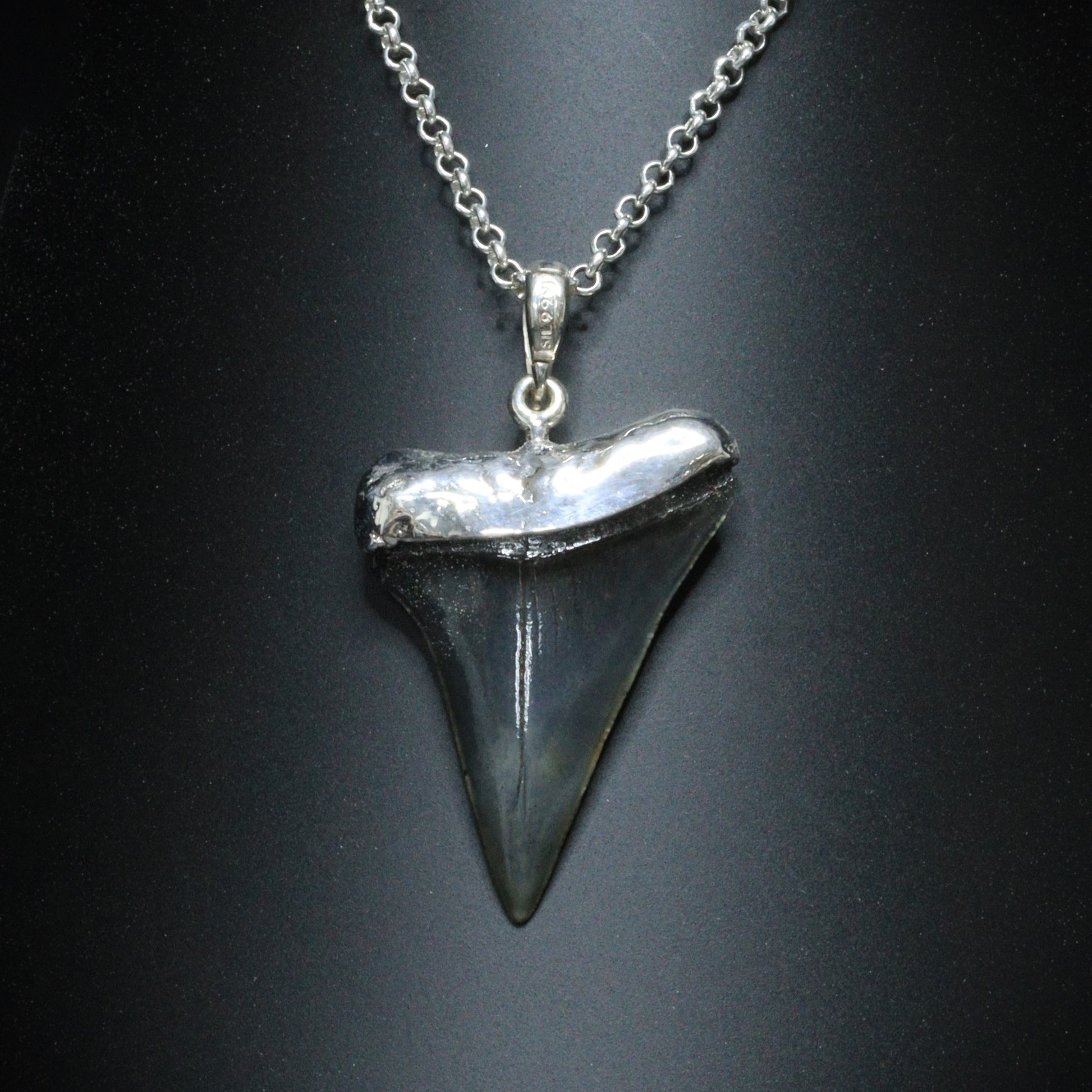 Megalodon Pendant - 10