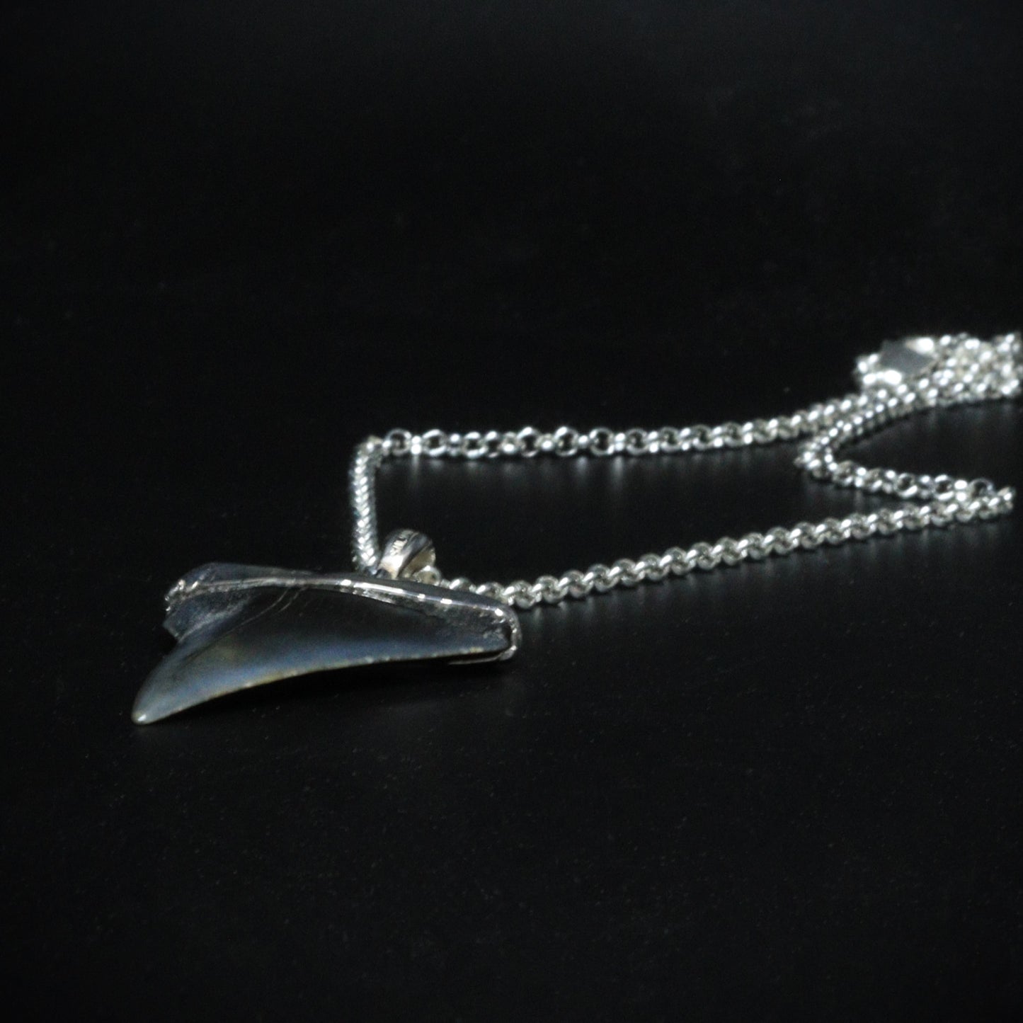 Megalodon Pendant - 10