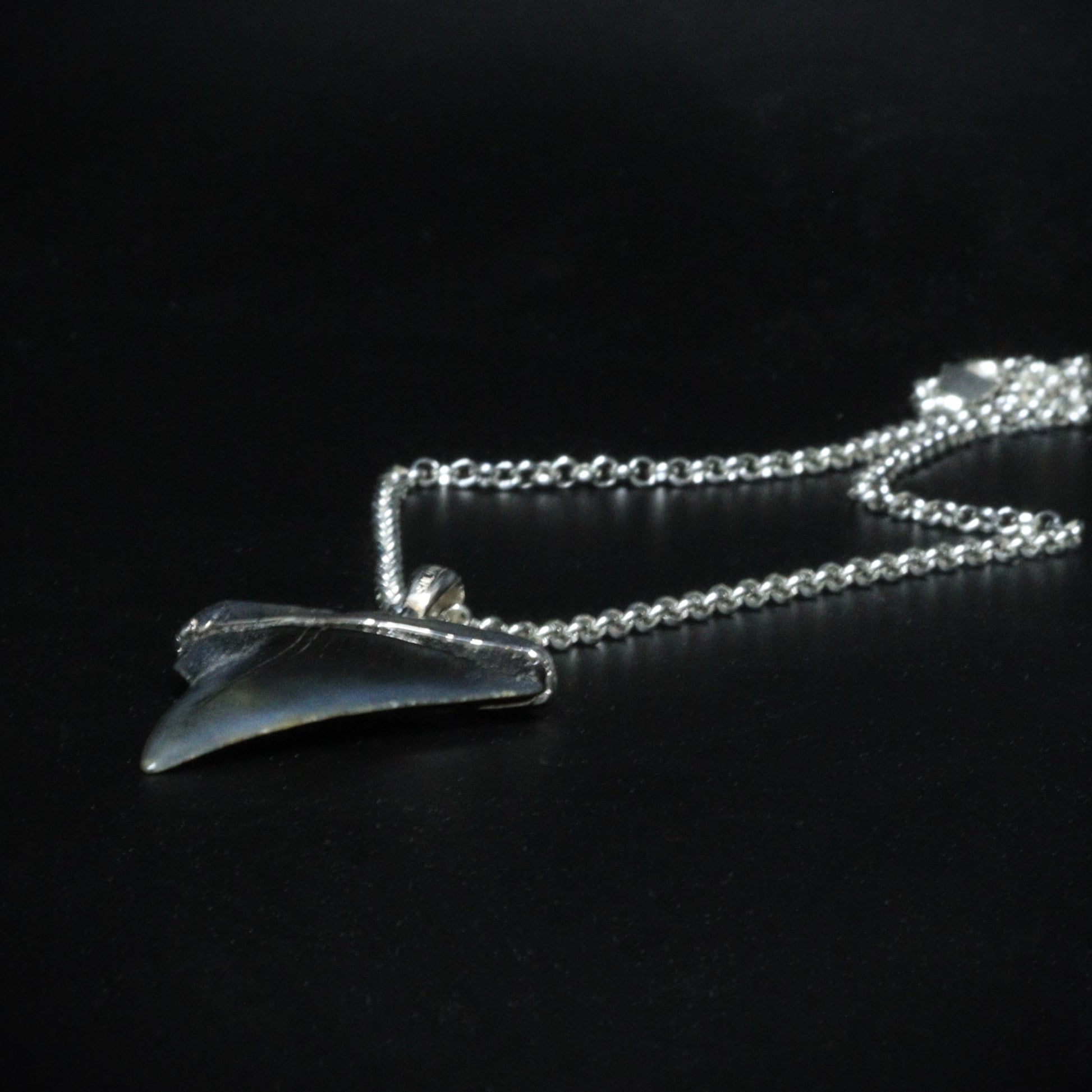 Megalodon Pendant - 10