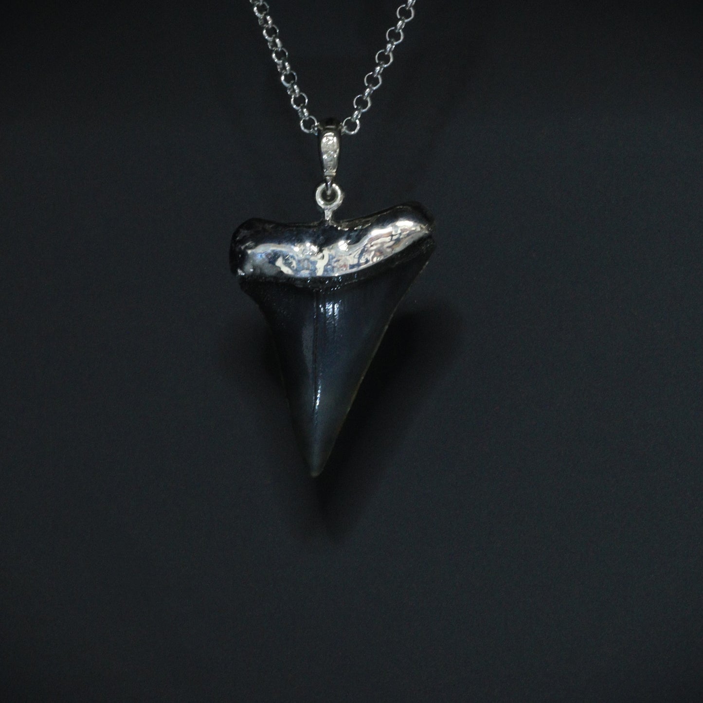 Megalodon Pendant - 10