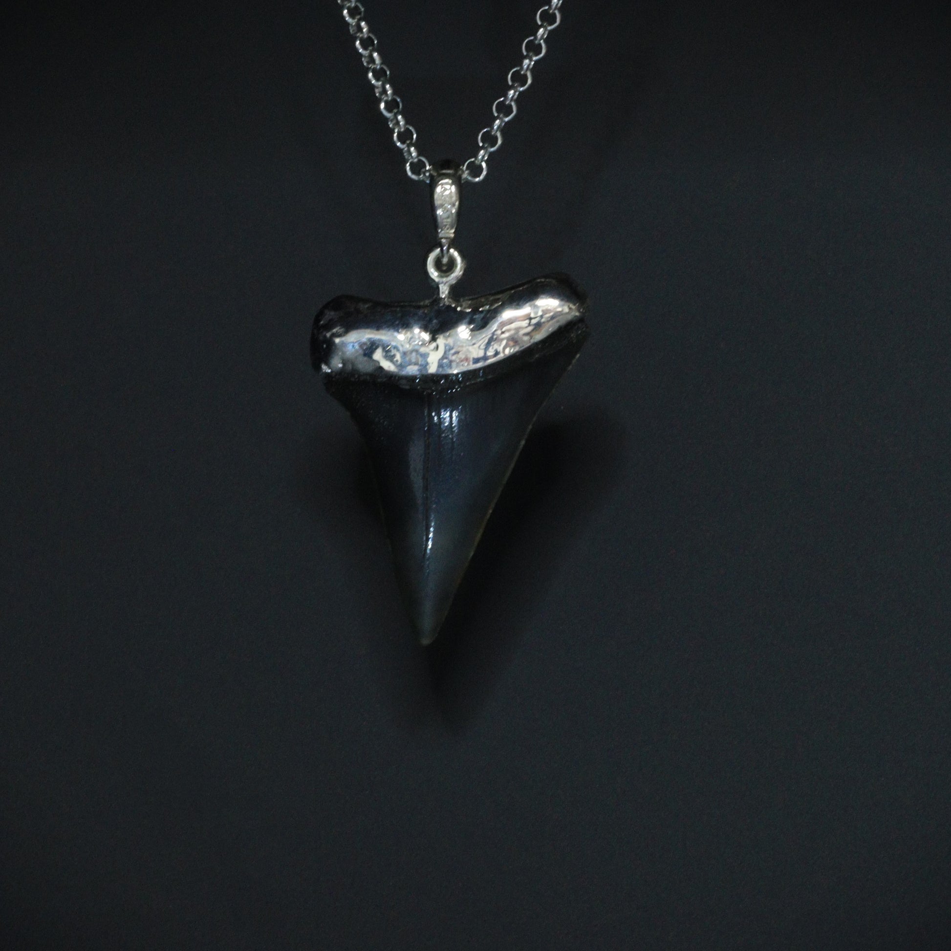 Megalodon Pendant - 10