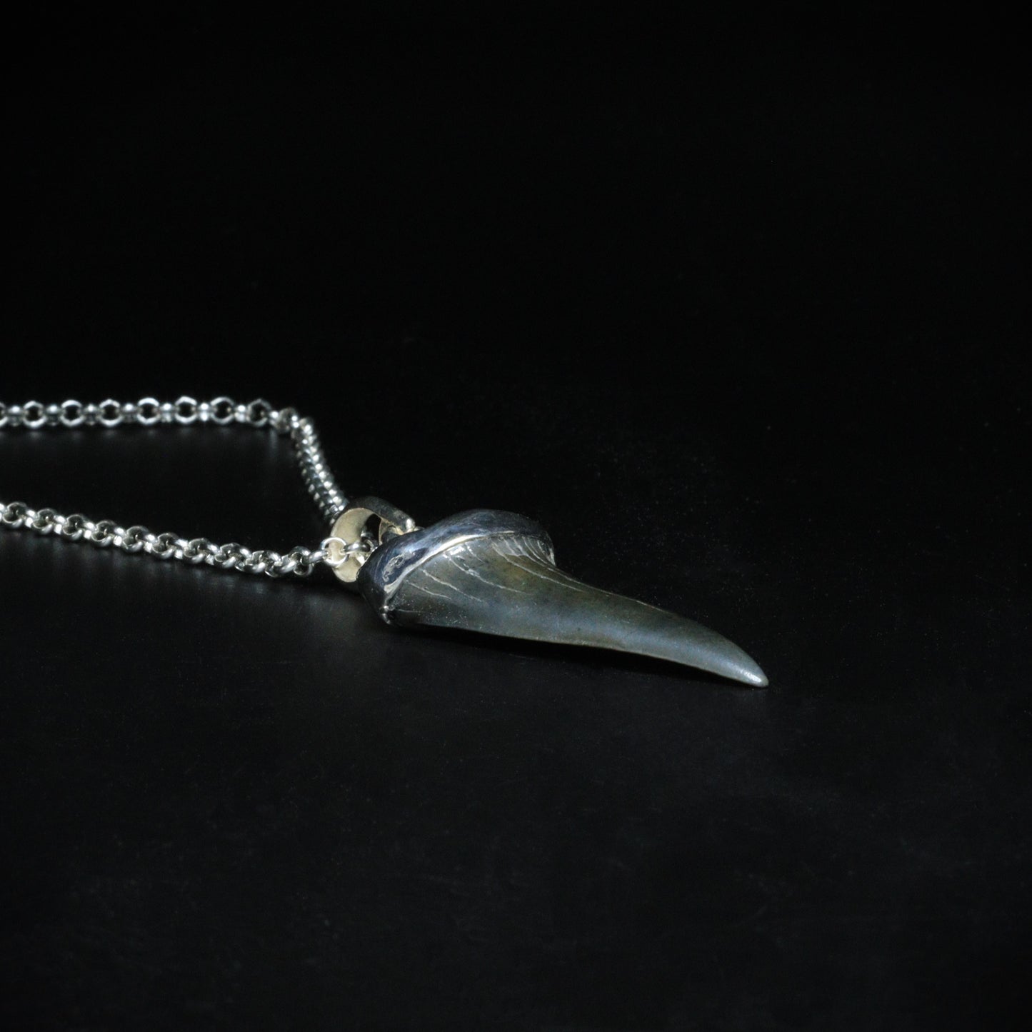 Magalodon fossil pendant - 11