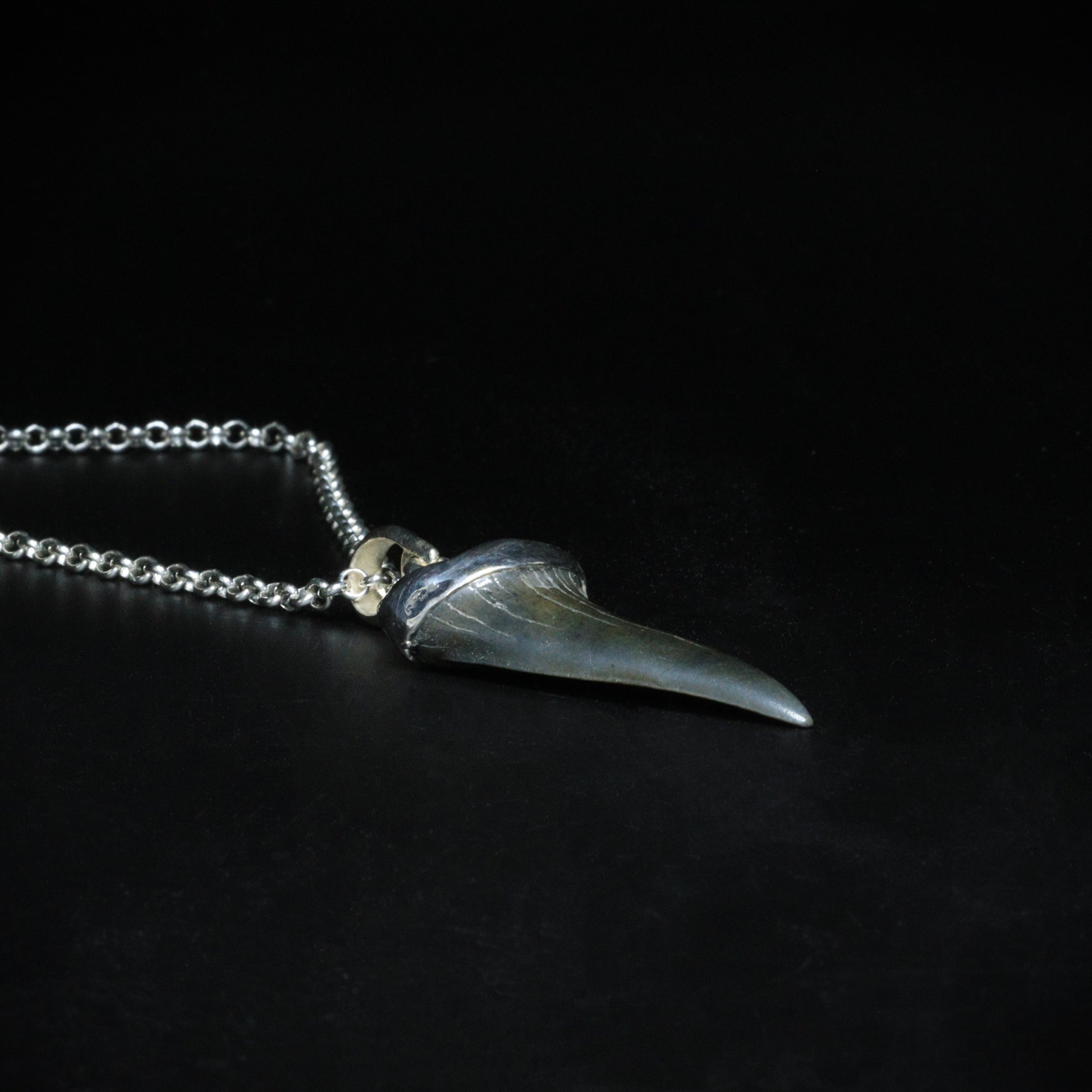 Magalodon fossil pendant - 11