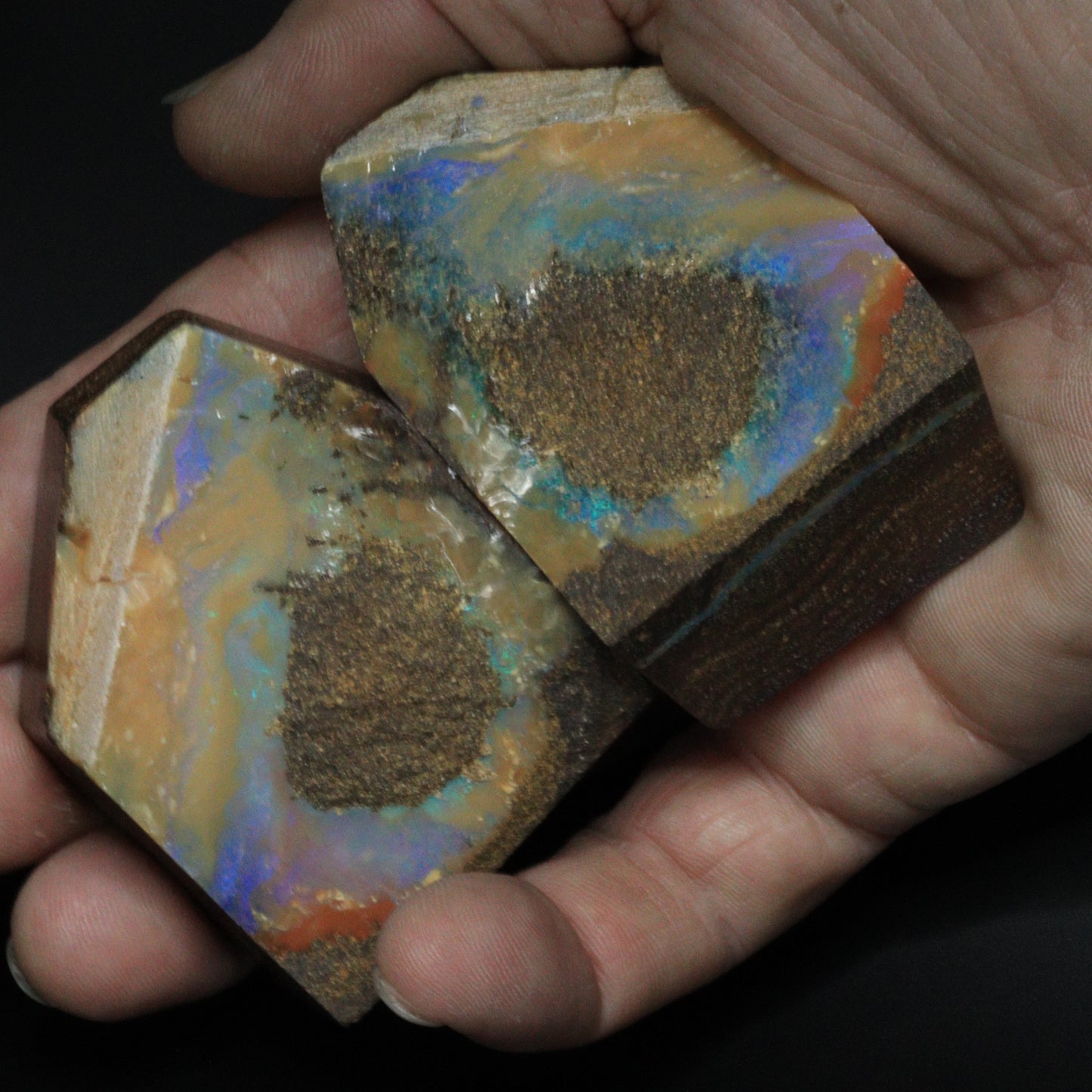 Australian Boulder Opal Pair Specimen