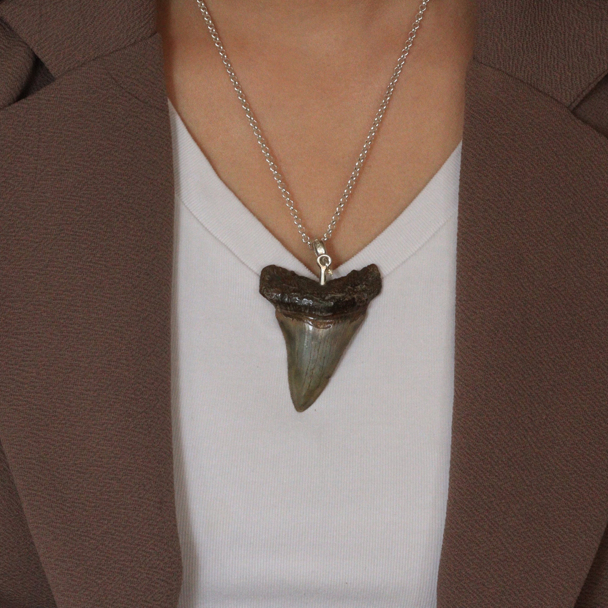 Megalodon Pendant - 12