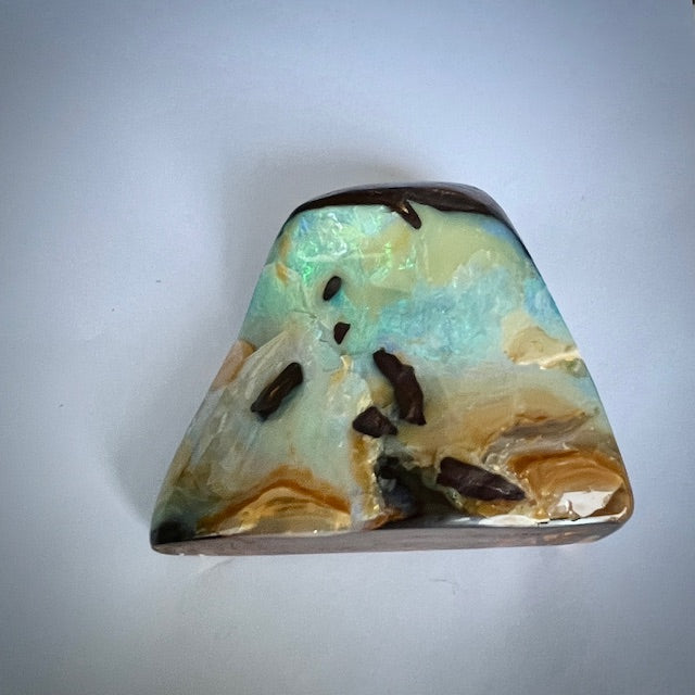 Australian Boulder Opal Natural Specimen – Queensland