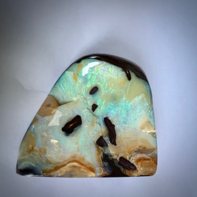 Australian Boulder Opal Natural Specimen – Queensland