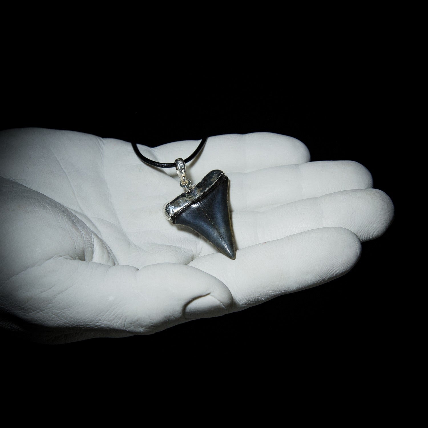 Megalodon Pendant - 10