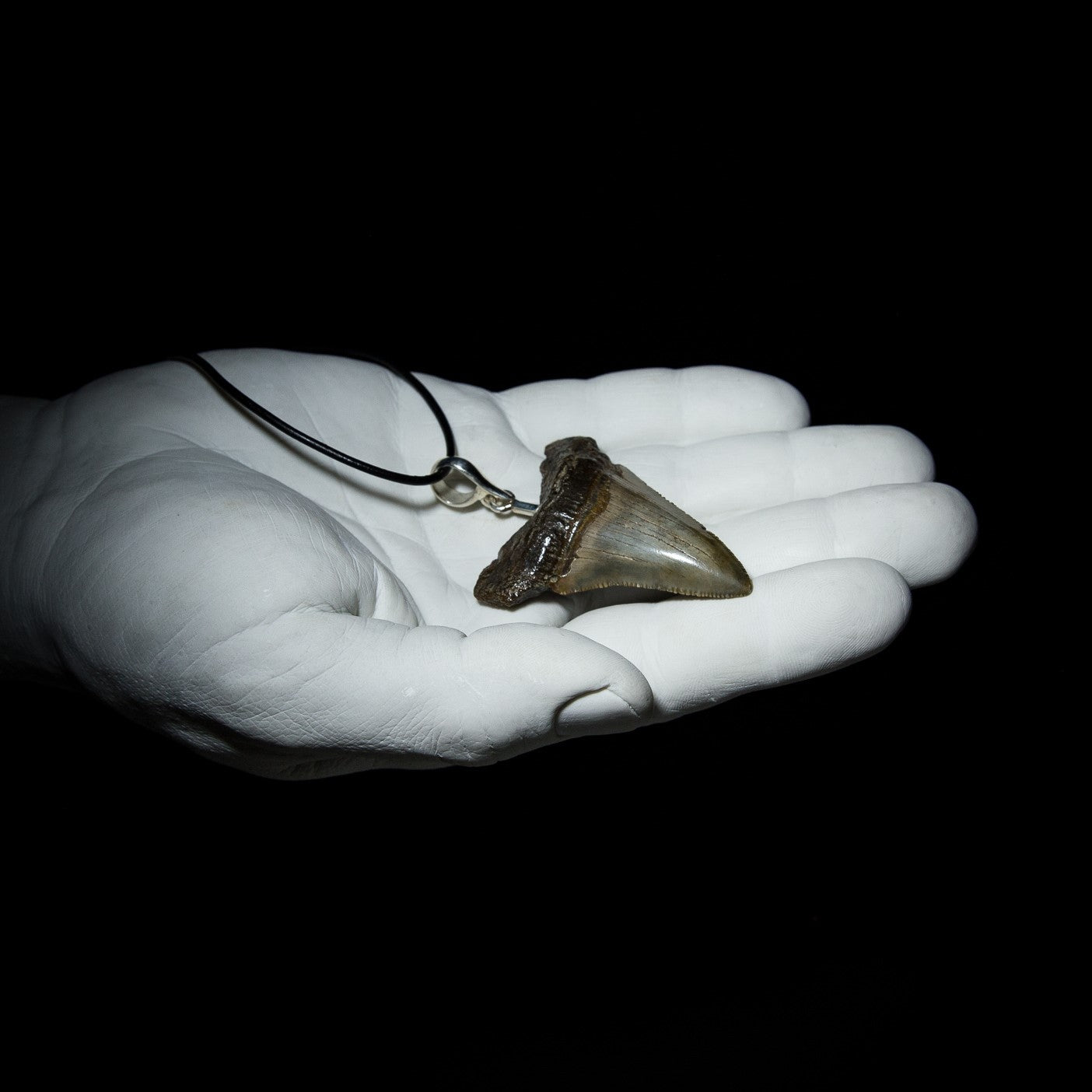 Megalodon Pendant - 12