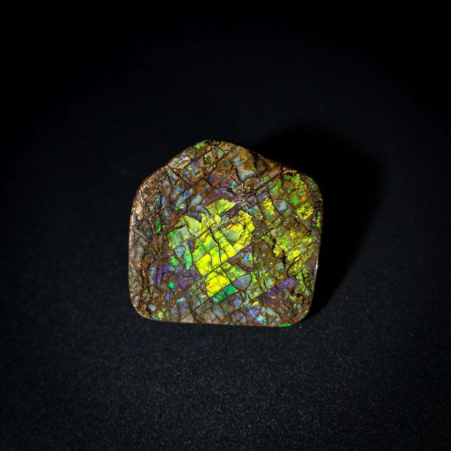 Australian Boulder Opal Stone - 15