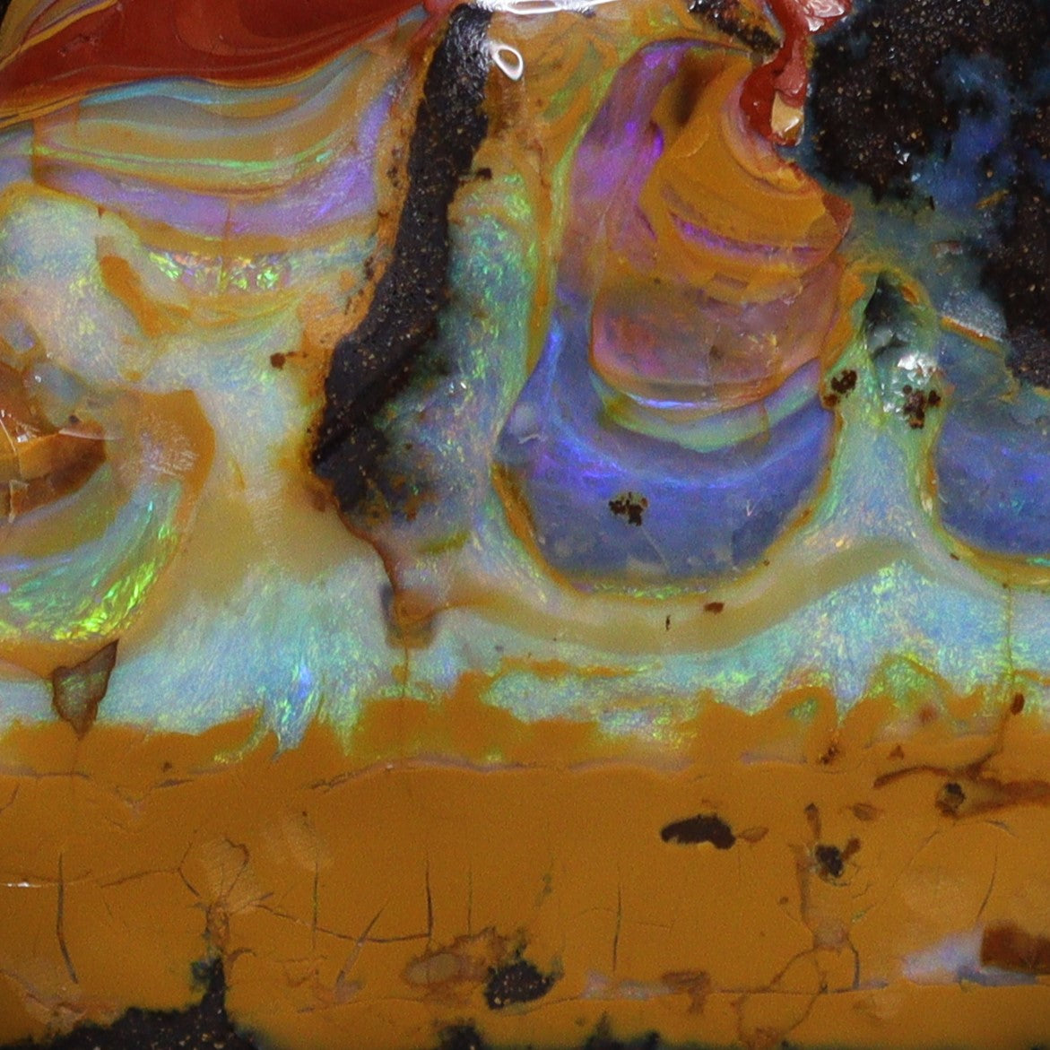 Australian Boulder opal specimen