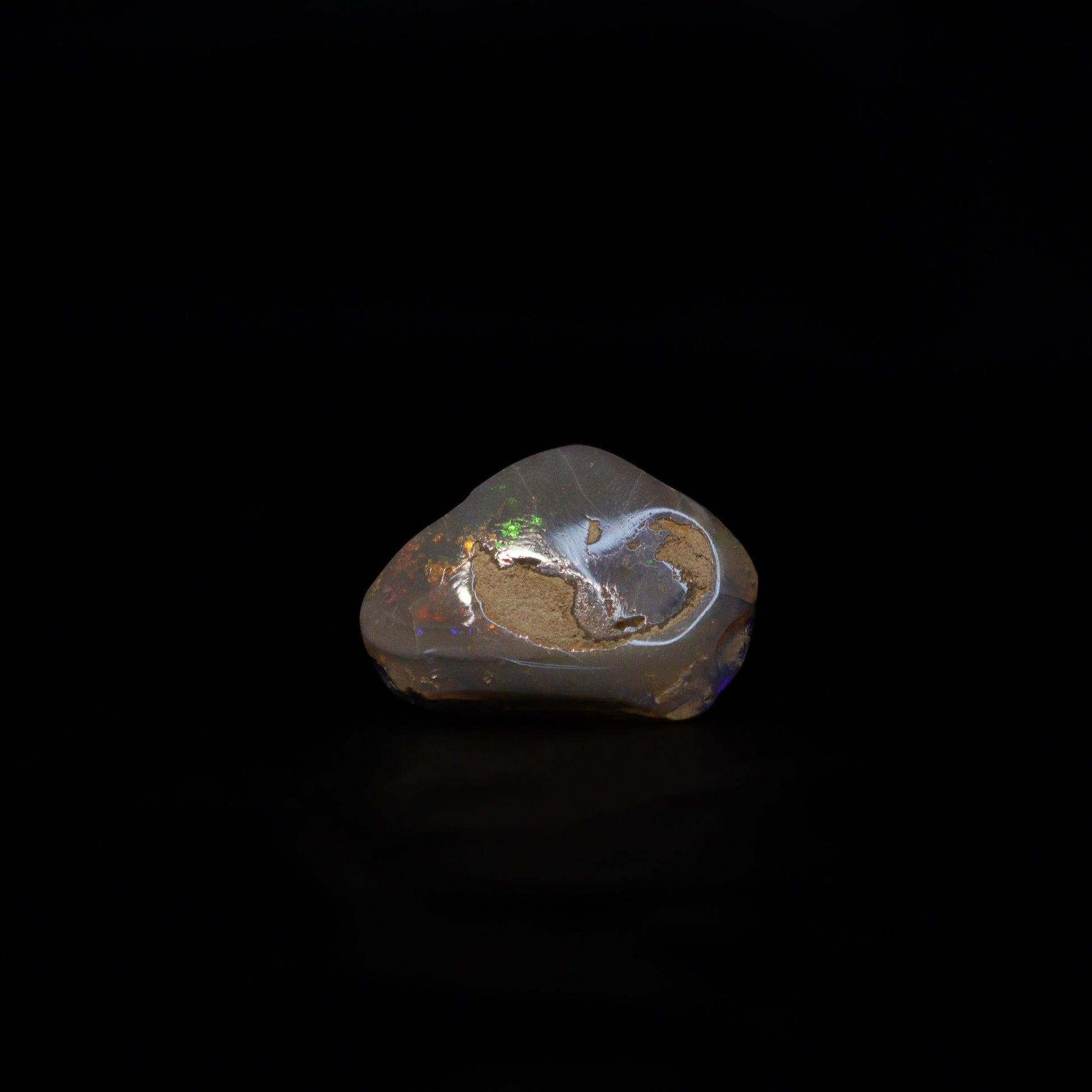 Australian Fossilized opal shell 