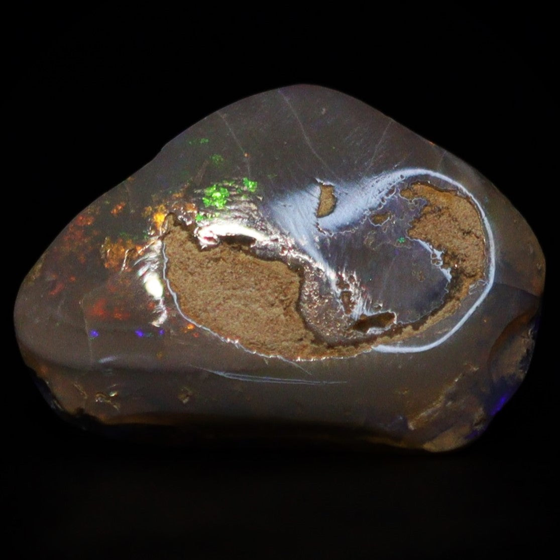 Australian Fossilized opal shell 