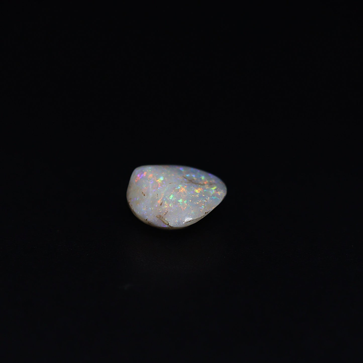 Australian Fossilized opal shell 