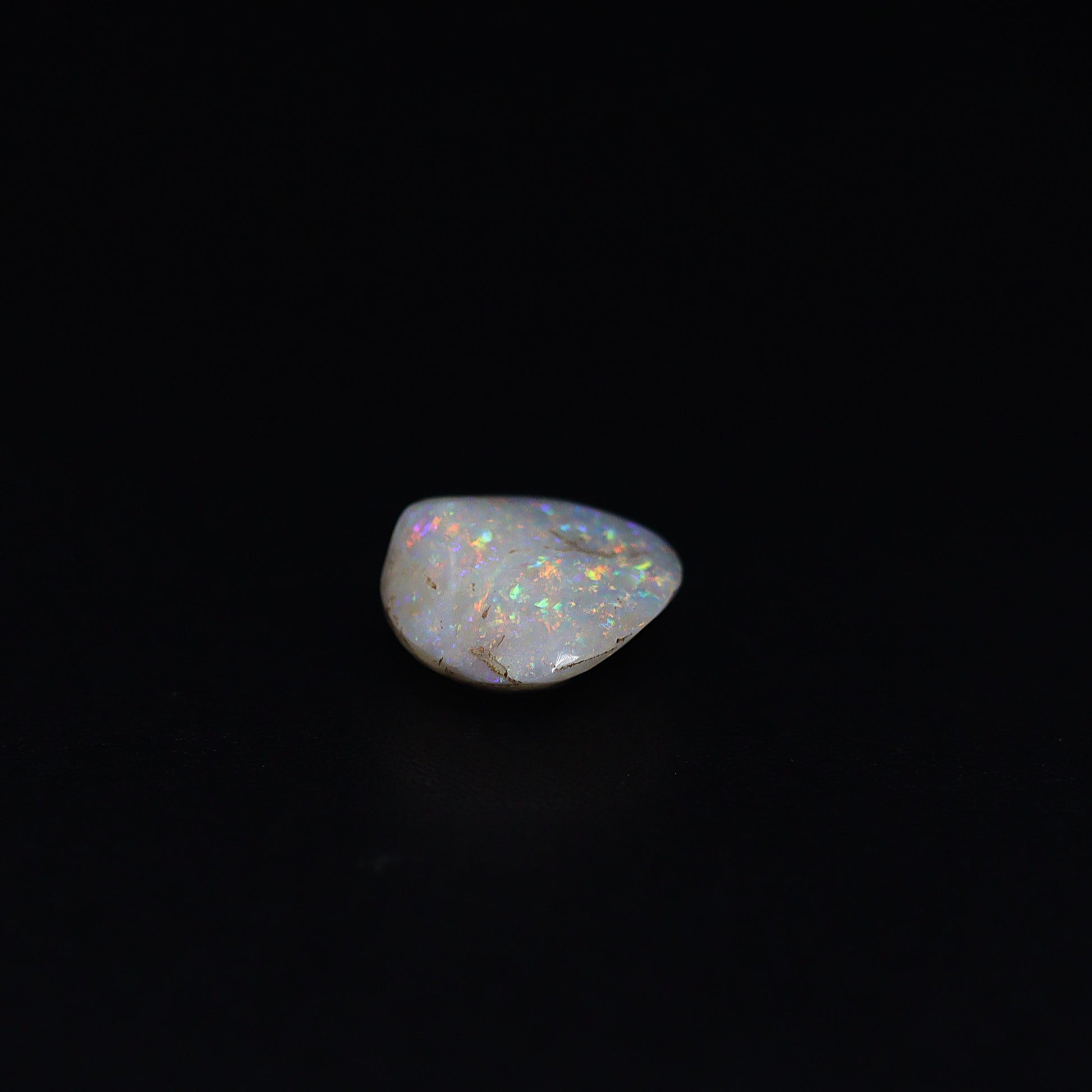 Australian Fossilized opal shell 