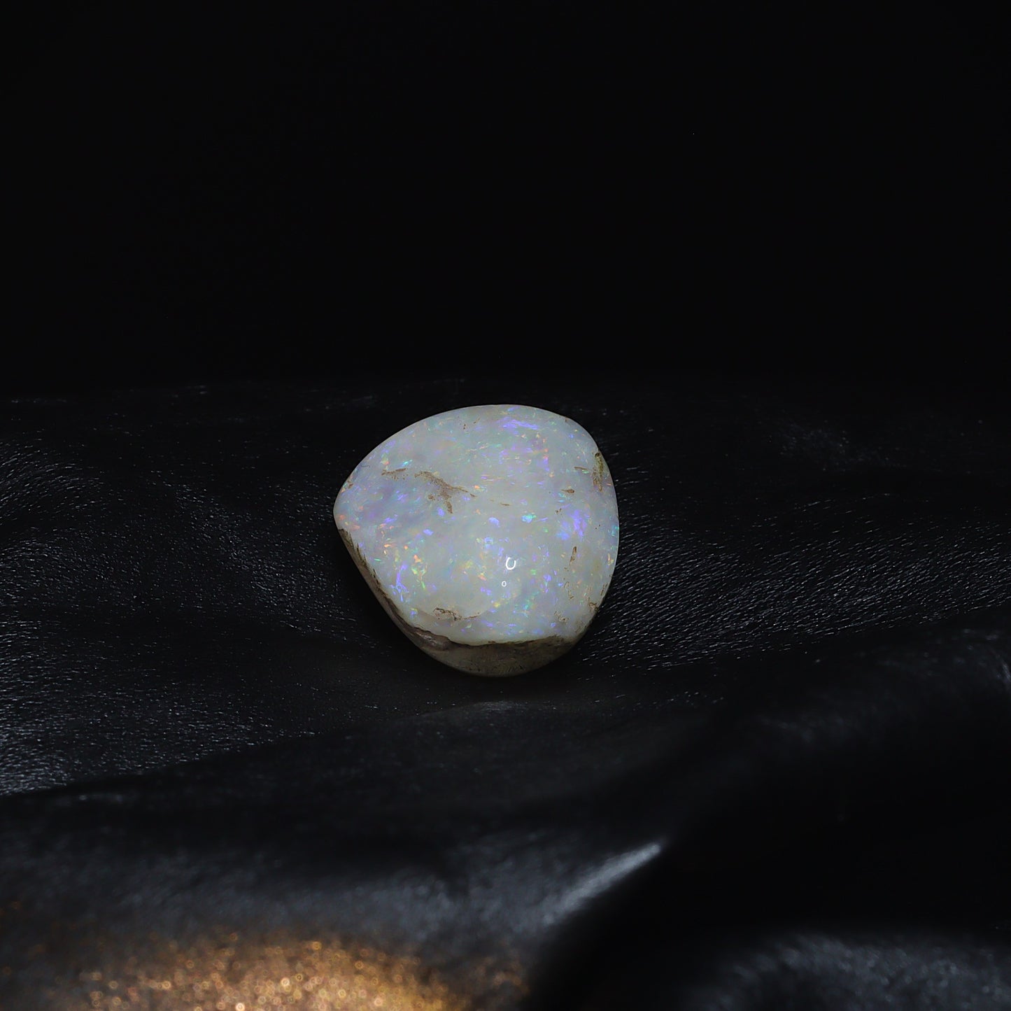 Australian Fossilized opal shell 