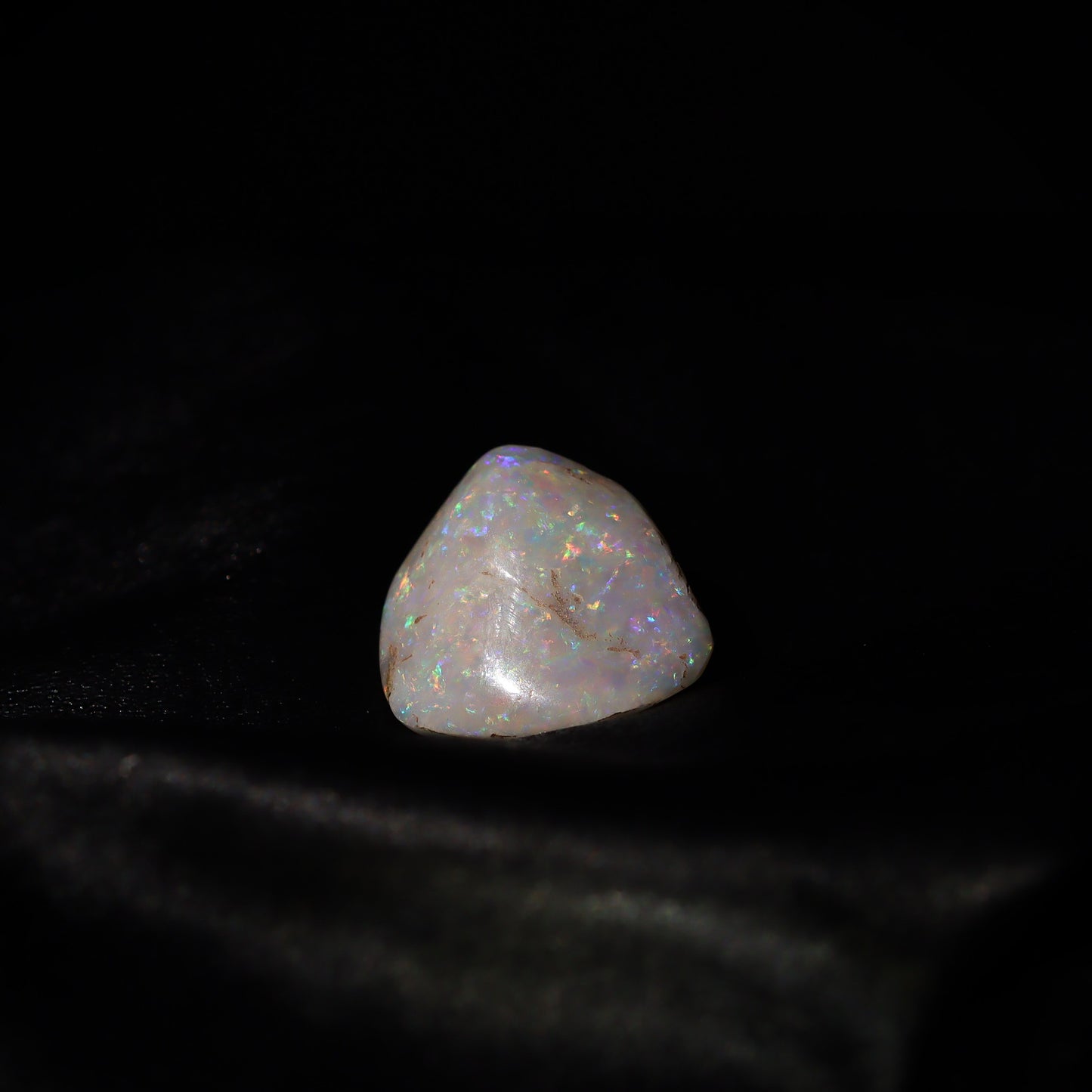 Australian Fossilized opal shell 