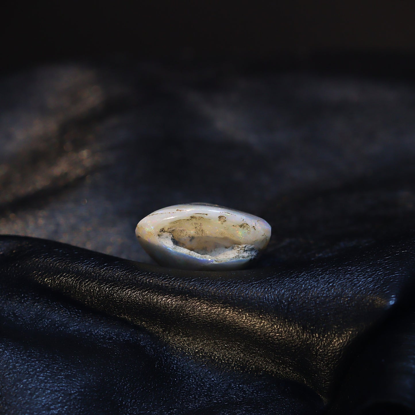Australian Fossilized opal shell 