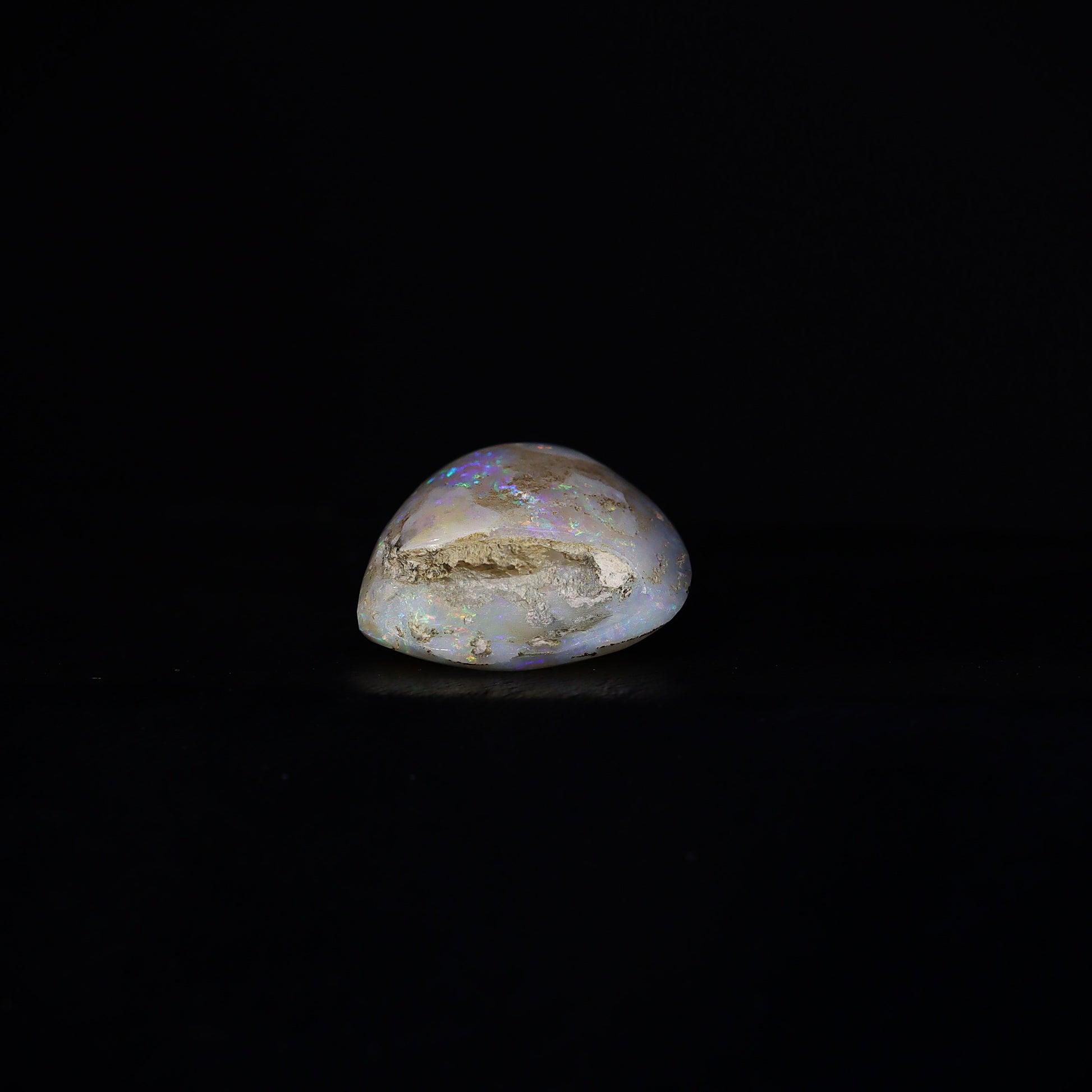 Australian Fossilized opal shell 