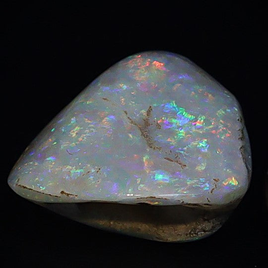 Australian Fossilized opal shell 