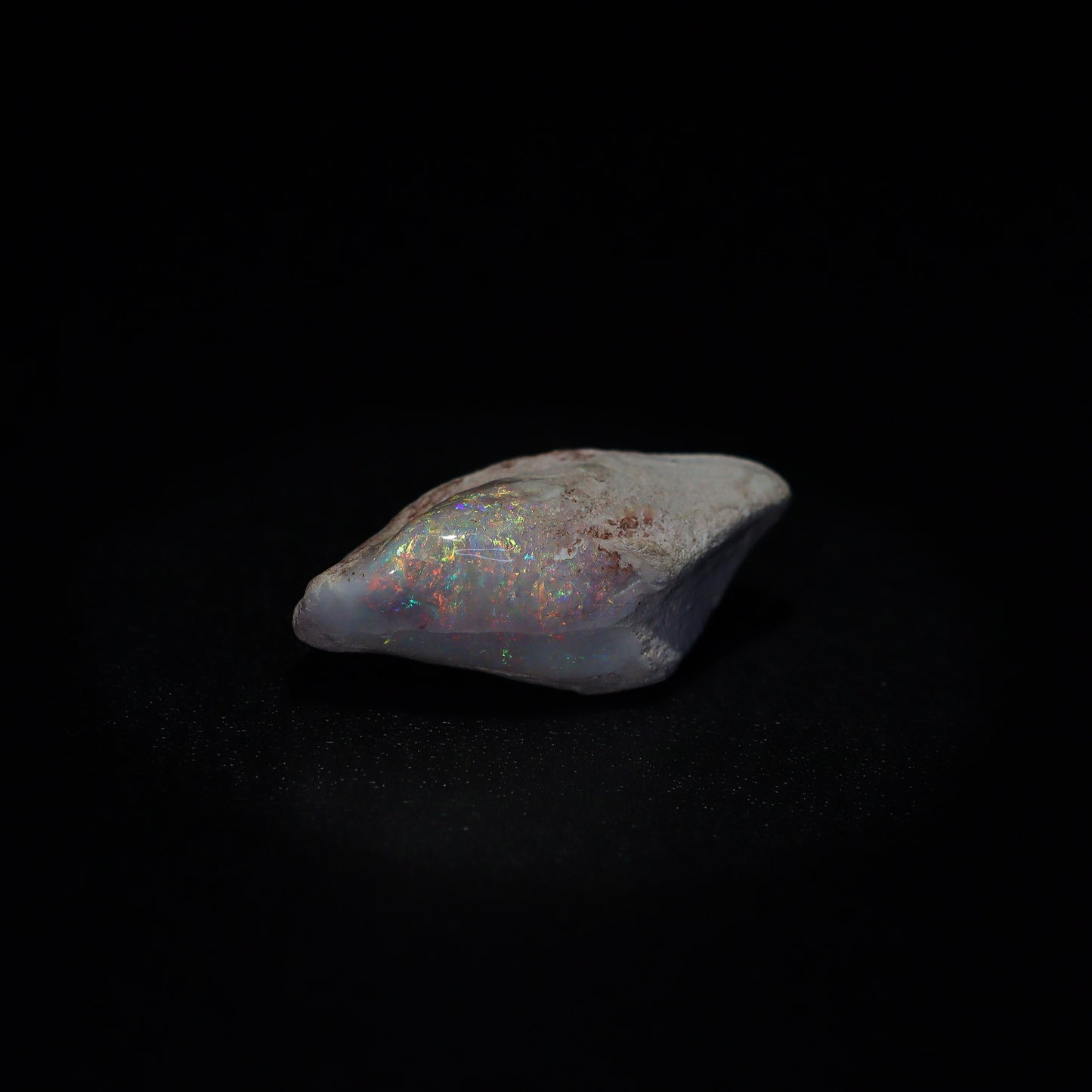Australian Fossilized opal shell 