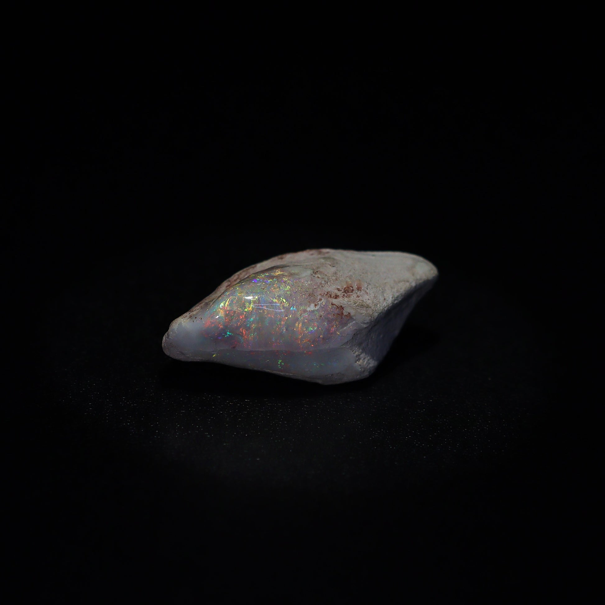 Australian Fossilized opal shell 