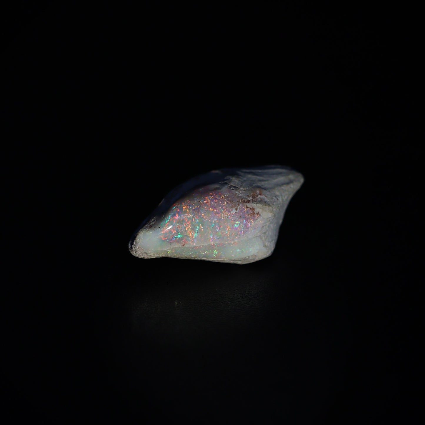 Australian Fossilized opal shell 